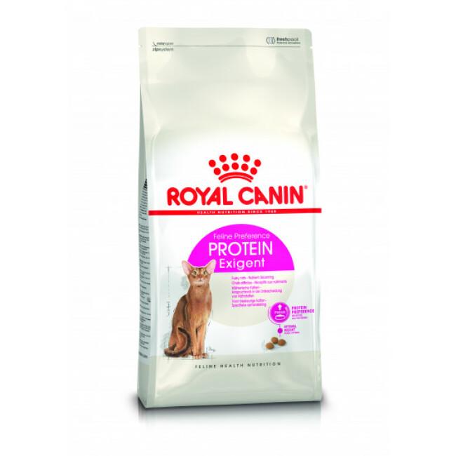 Croquettes pour chat exigent Royal Canin Protein