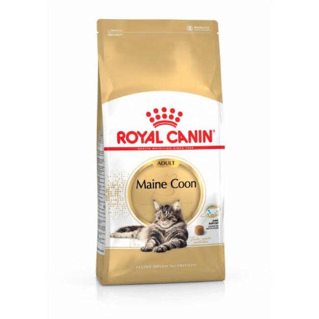 Croquettes pour chat Royal Canin Maine Coon