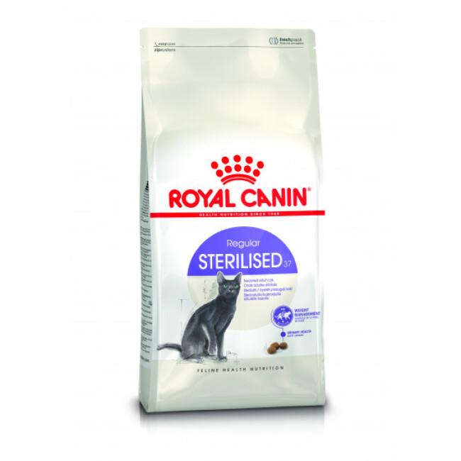 Royal Canin sterilised 37 pour chat