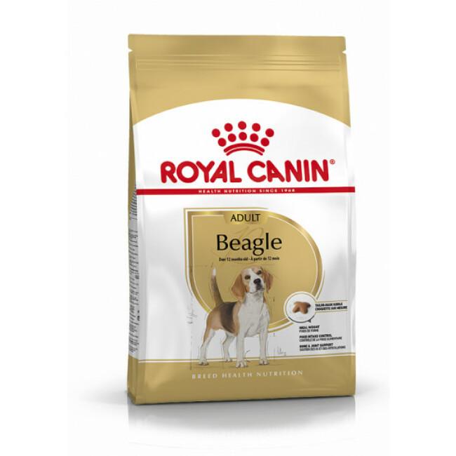 Croquettes pour chien adulte Royal Canin Beagle