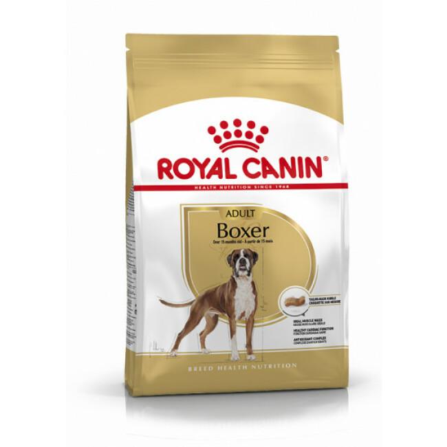 Croquettes pour chien adulte Boxer Royal Canin