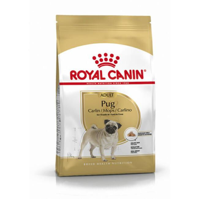 Croquettes pour chien adulte Royal Canin Carlin 25 Sac 1,5 kg