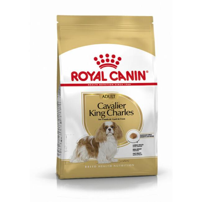 Croquettes pour chien adulte Royal Canin Cavalier King Charles 27