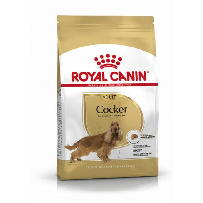 Croquettes pour chien adulte Royal Canin Cocker
