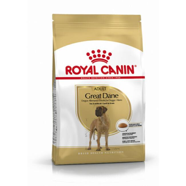 Croquettes pour chien adulte Royal Canin Dogue Allemand