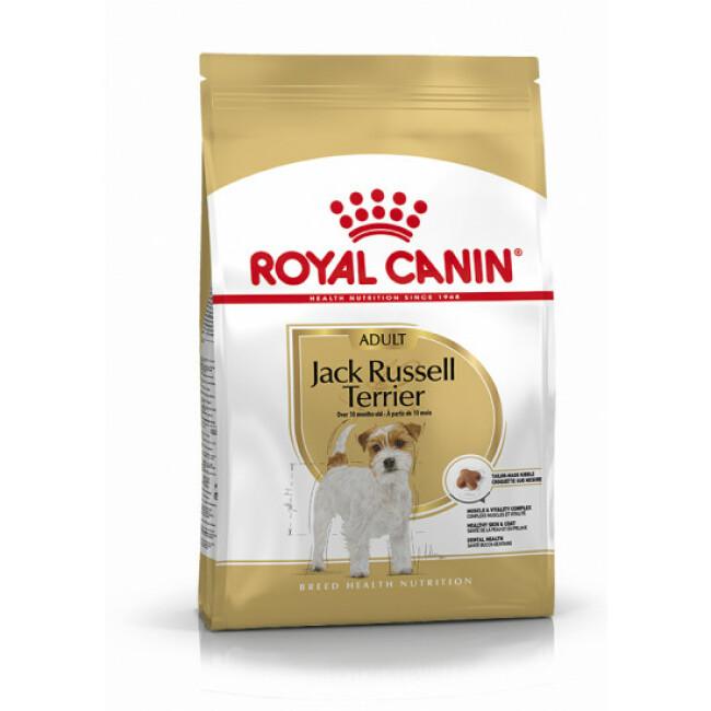 Croquettes pour chien adulte Royal Canin Jack Russel