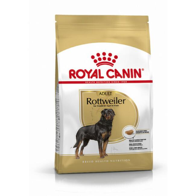 Croquettes pour chien adulte Royal Canin Rottweiler
