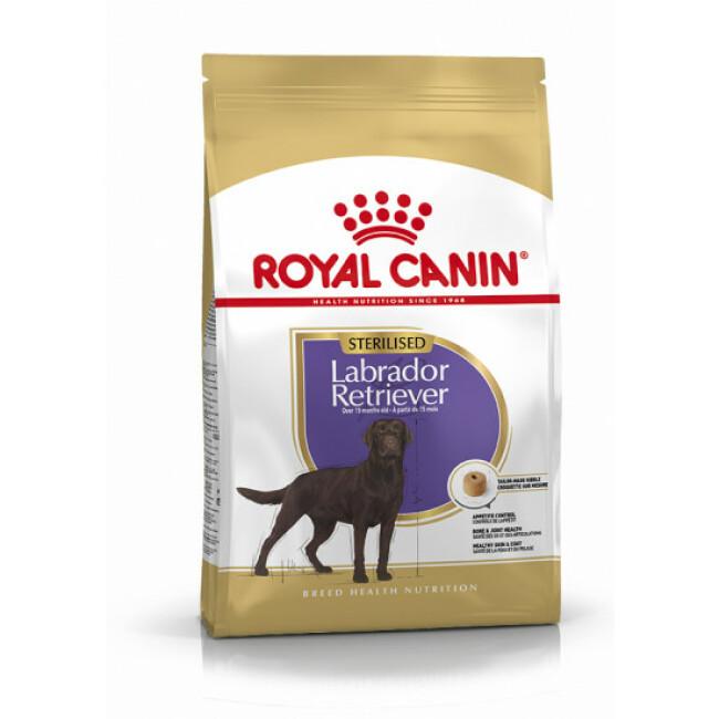 Croquettes pour chien adulte stérilisé Labrador Retriever Royal Canin