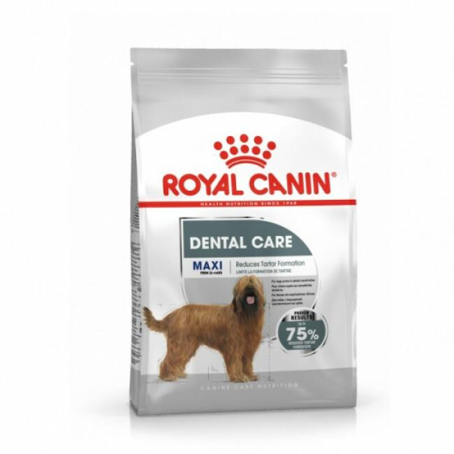 Croquettes pour chien de 26 à 44 kg Maxi Dental Care Adulte Royal Canin