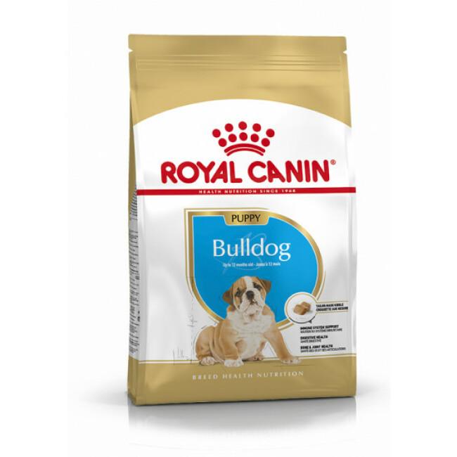 Croquettes pour chien junior Bulldog Anglais Royal Canin Puppy