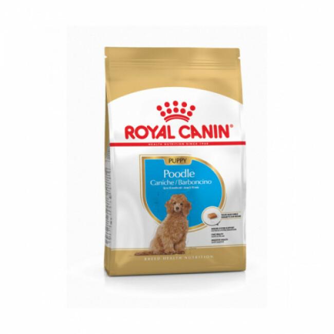 Croquettes pour chien Royal Canin Caniche Junior 3 kg