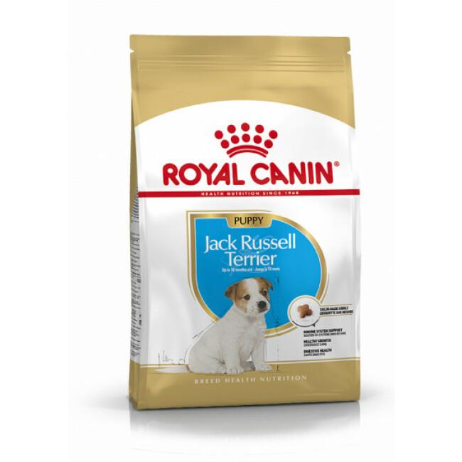 Croquettes pour chien junior Royal Canin Jack Russel Sac 3 kg
