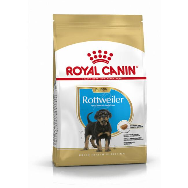 Croquettes pour chien junior Rottweiler Royal Canin Puppy