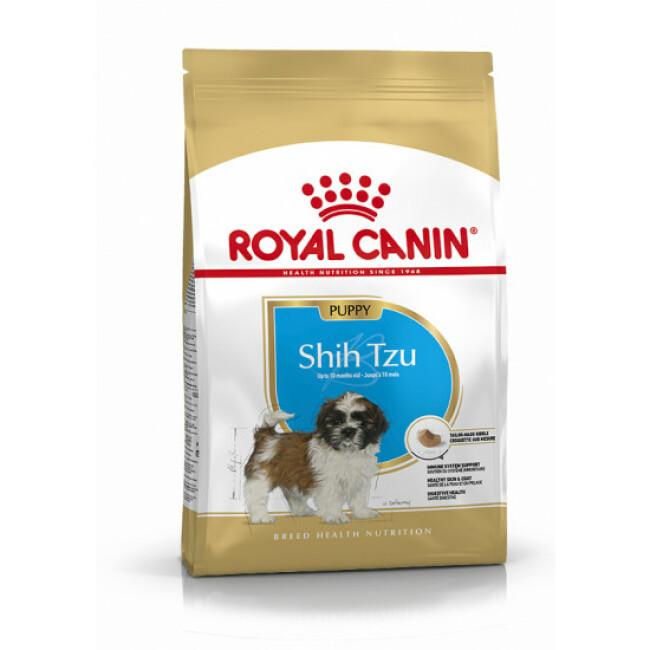 Croquettes pour chien junior Royal Canin Shih Tzu 28 Sac 1,5 kg