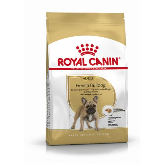 Croquettes Royal Canin French Bulldog Adult chien plus de 12 mois