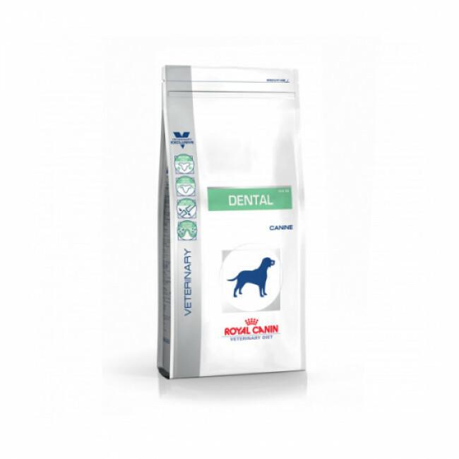 Croquettes pour chien Veterinary Diet Dental > 10 kg Royal Canin