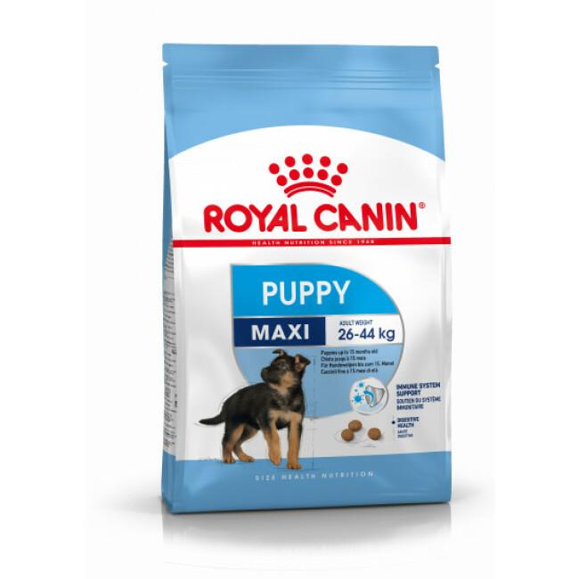 Croquettes pour chiot grande race Puppy Maxi Royal Canin
