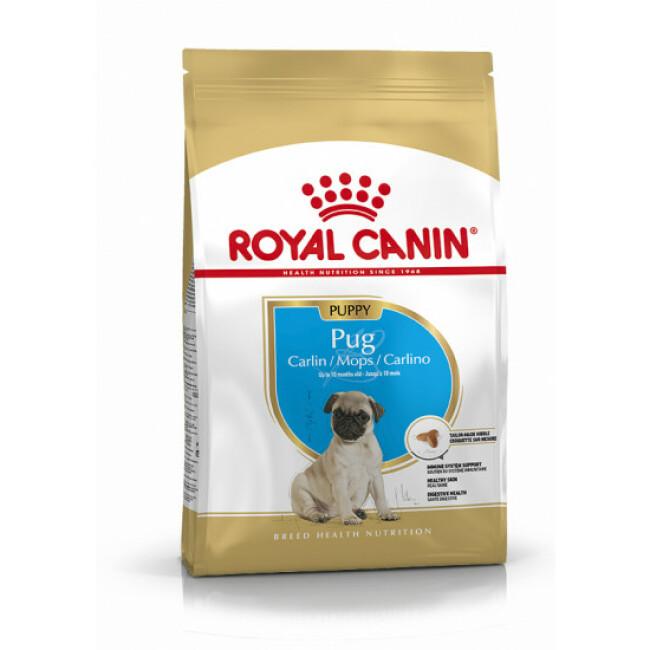 Croquettes pour chiot Royal Canin Carlin Breed Pug Junior