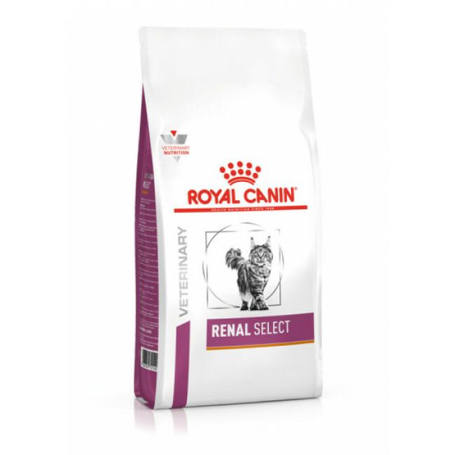 Croquettes Veterinary Diet Renal Select RSE 24 pour chat Royal Canin