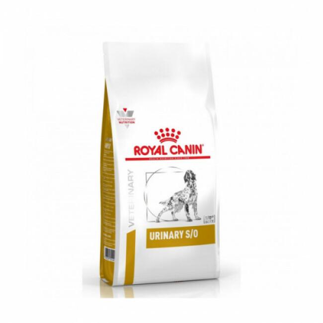 Croquettes Veterinary Diet Urinary S/O pour chien Royal Canin