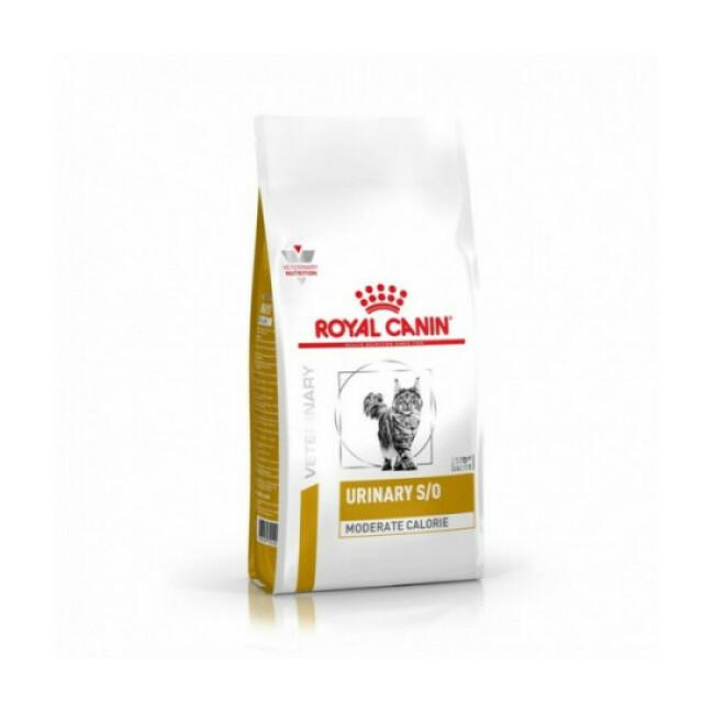 Croquettes Veterinary Diet Urinary S/O Moderate Calorie pour chat Royal Canin