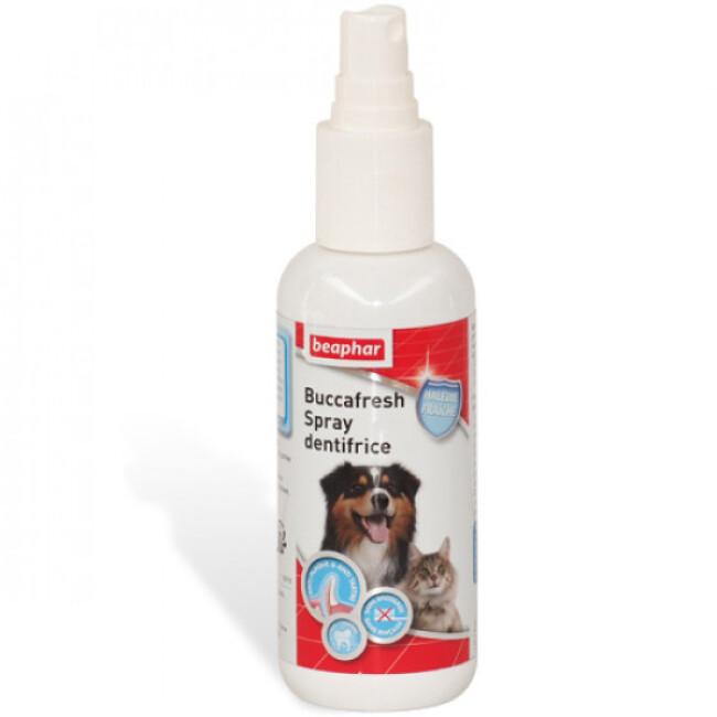Dentifrice pour chien et chat en spray Buccafresh