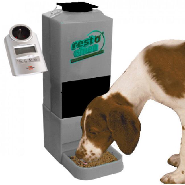 Distributeur automatique et programmable de croquettes pour chiot et petit chien