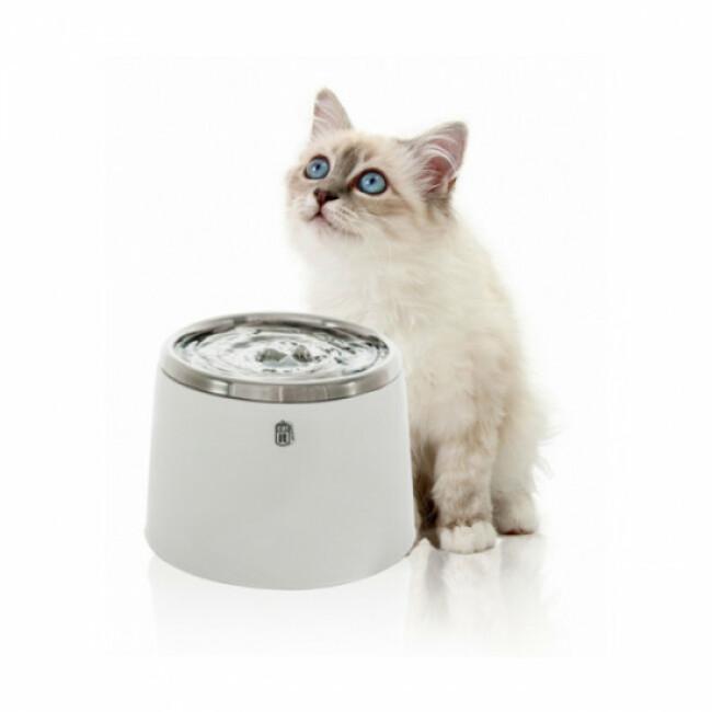 Fontaine à eau compacte pour chat et chien de petite taille Cat'it acier inoxydable 2 litres