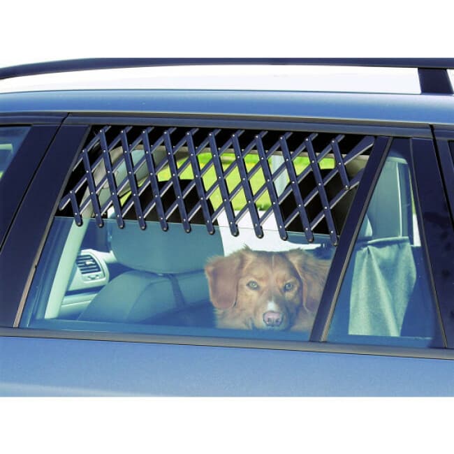 Grille aération fenêtre de voiture pour chien