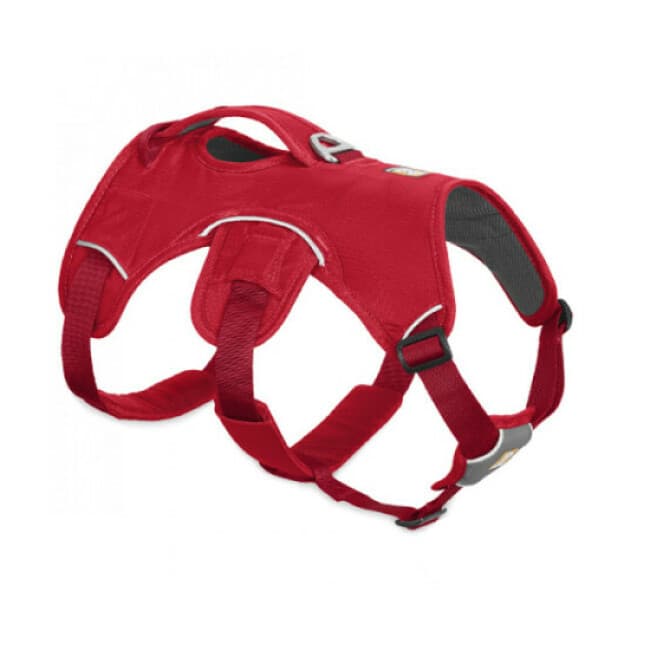 Harnais Web Master pour chien