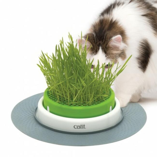 Jardinière d'herbes à chat Cat It Senses 2.0 Hagen