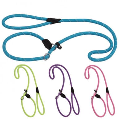 Laisse lasso pour chien