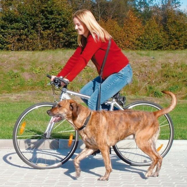 Laisse pour chien spéciale vélo et jogging Trixie