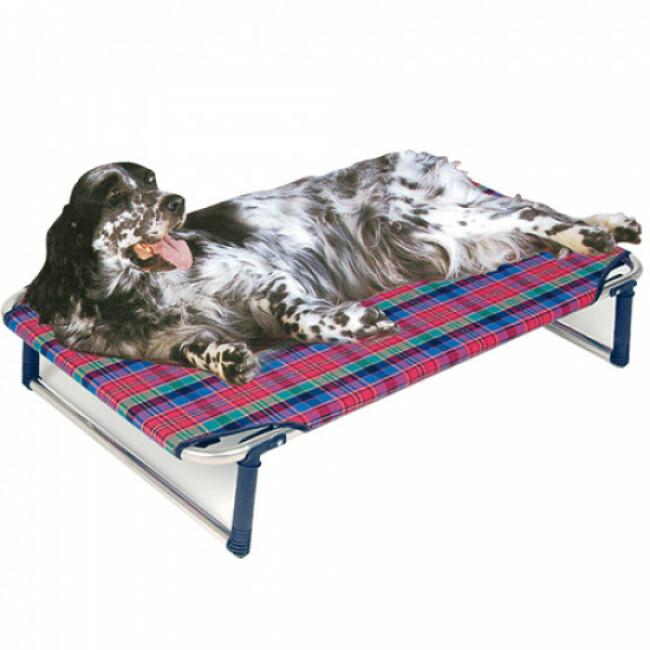 lit de camp pour chien