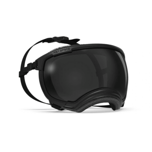 Masque de protection Rex Specs V2 Taille L