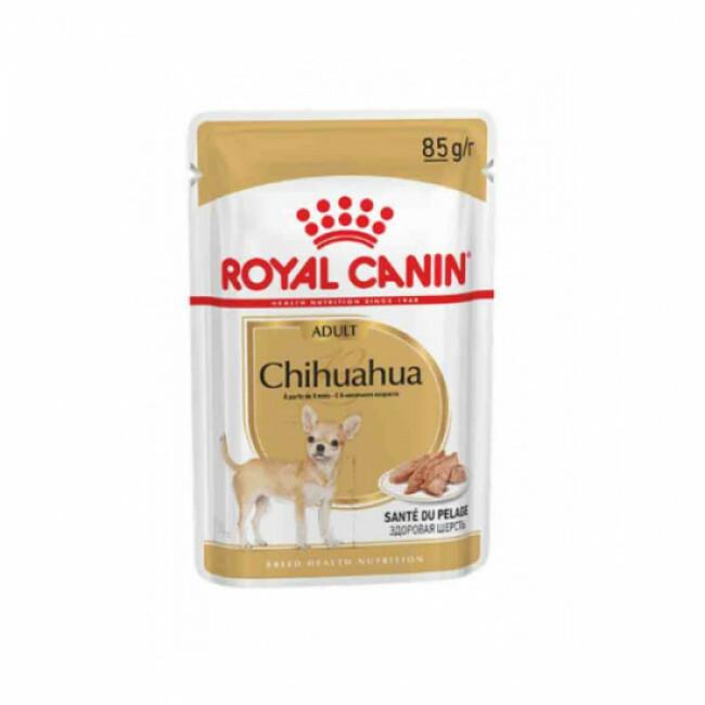 Mousse pour chien Chihuahua Adulte Royal Canin