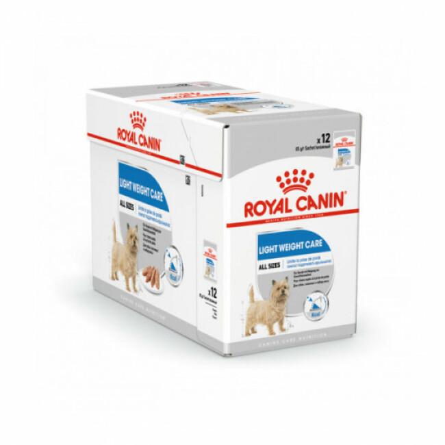 Mousse pour chien Light Weight Care Royal Canin