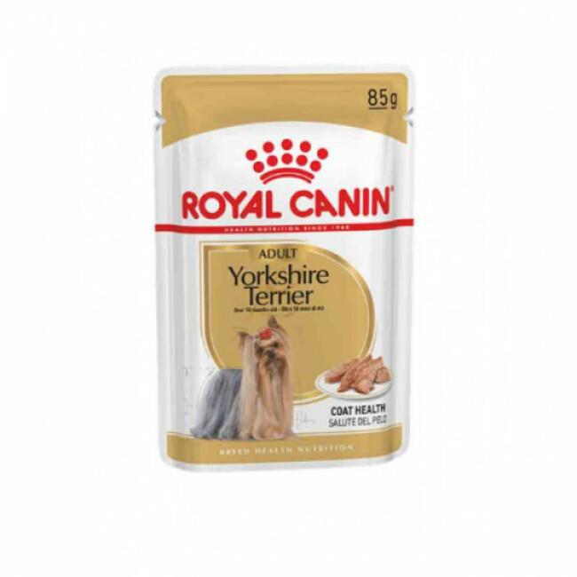 Mousse pour chien Yorkshire Adulte Royal Canin