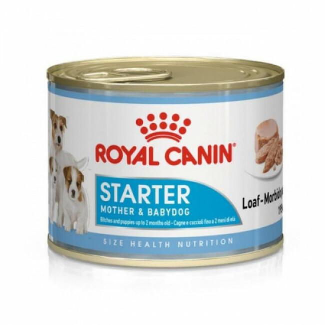 Mousse Starter Mother & Babydog Royal Canin pour chien - 12 boîtes 195 g