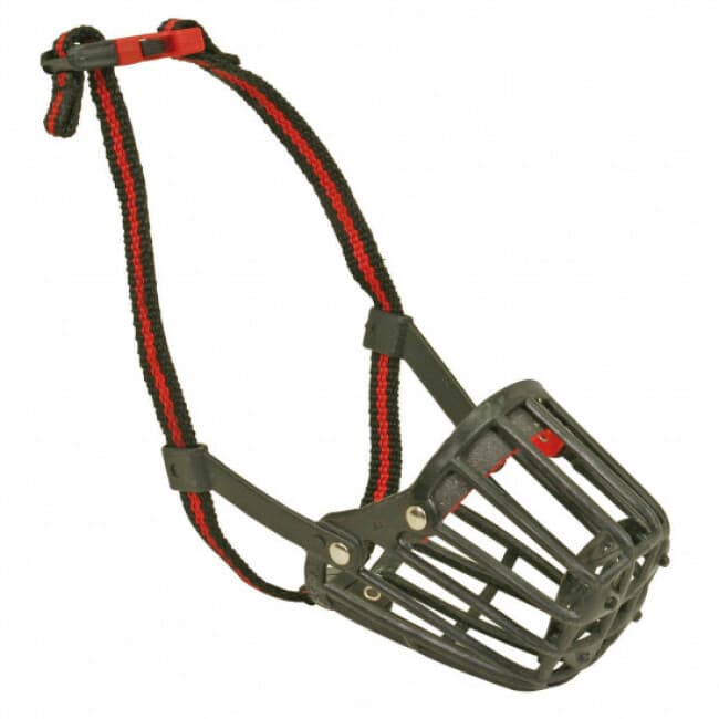 Muselière plastique