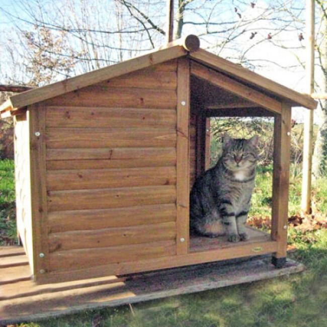 Niche bois avec auvent et terrasse pour chat