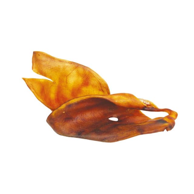 Oreilles de truie grande taille