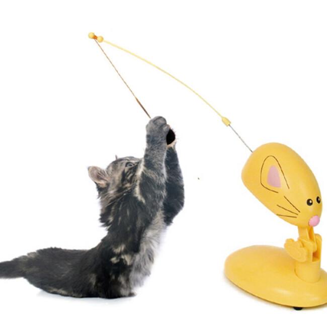 Panic Mouse Cat-Toy jeu intuitif pour chat