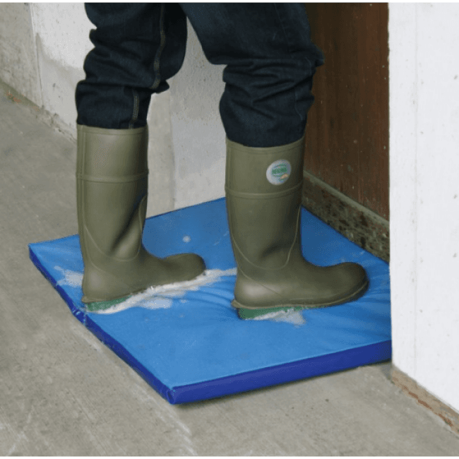 Pediluve mousse pour élevage canin
