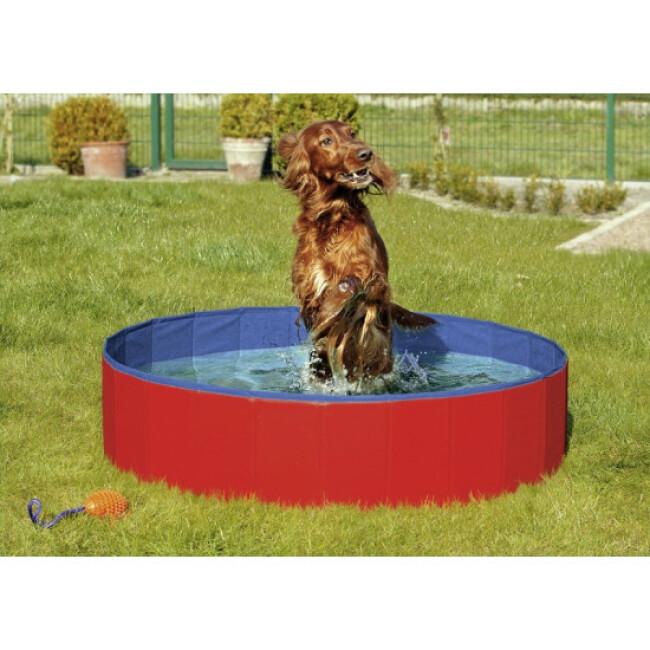 Piscine pour chien Doggy Pool Karlie
