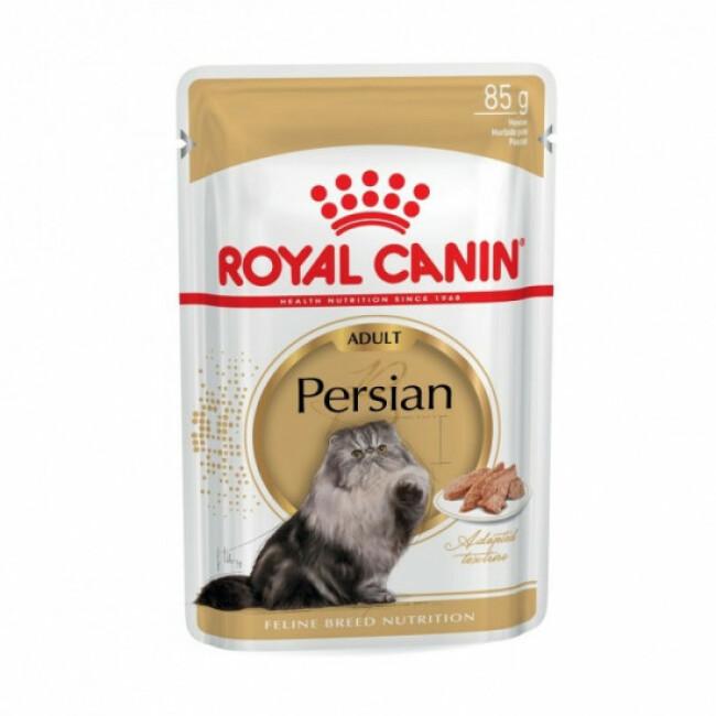 Pâtée Royal Canin Persian pour chats persan adulte