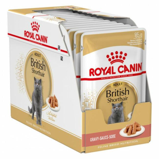 Pâtées pour chat adulte British Shorthair Royal Canin