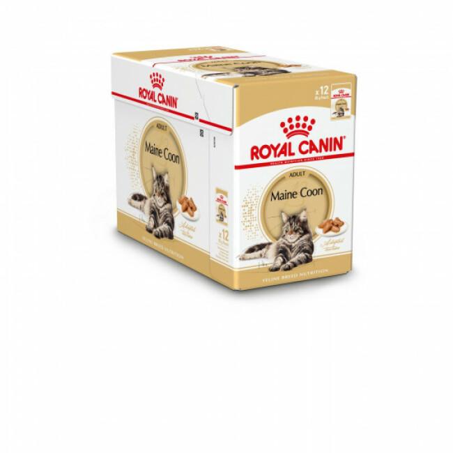 Pâtées Royal Canin pour chat Maine Coon Adulte