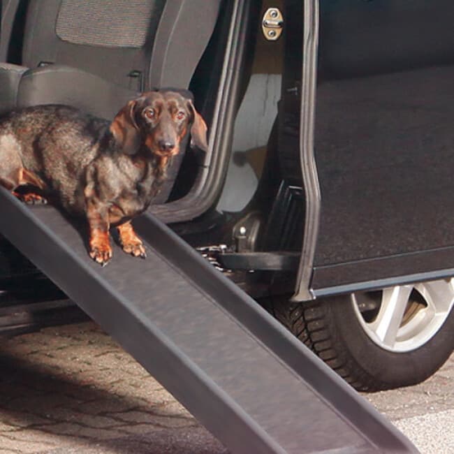 Rampe d'accès pour chien et chat Canis-Rampe™