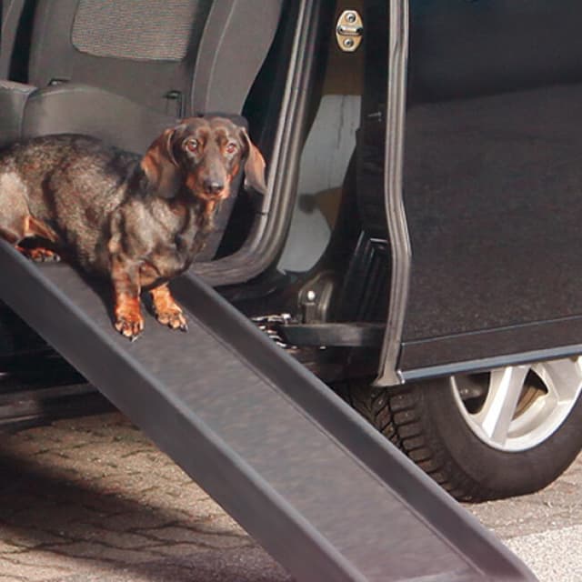 Rampe d'accès pour chien et chat Canis-Rampe™